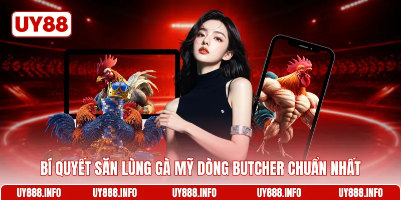 Bí quyết săn lùng gà mỹ dòng Butcher chuẩn nhất